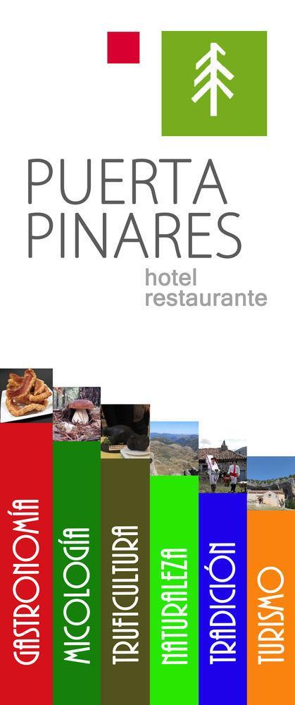 Puerta Pinares Hotel Abejar Luaran gambar